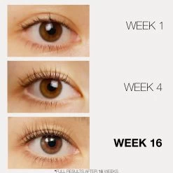 Lashfood Phyto-Medic Eyelash Enhancer 3ml -Cosmetics Store phytomedic eyelash enhancer lashfood 811992017897 before and after